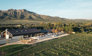 Se marier au cœur de la Provence : le charme authentique du Domaine Jòlibois